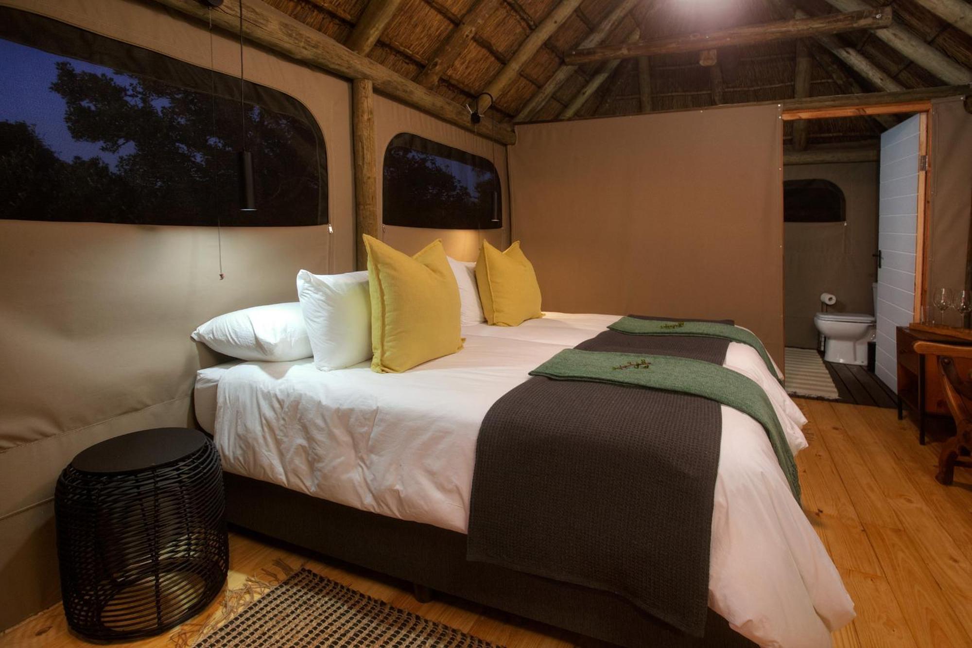 Addo Elephant Safari Lodge - Bellevue Forest Reserve Paterson Buitenkant foto