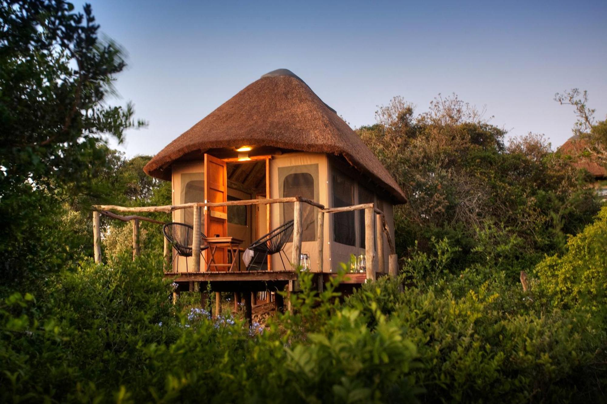 Addo Elephant Safari Lodge - Bellevue Forest Reserve Paterson Buitenkant foto