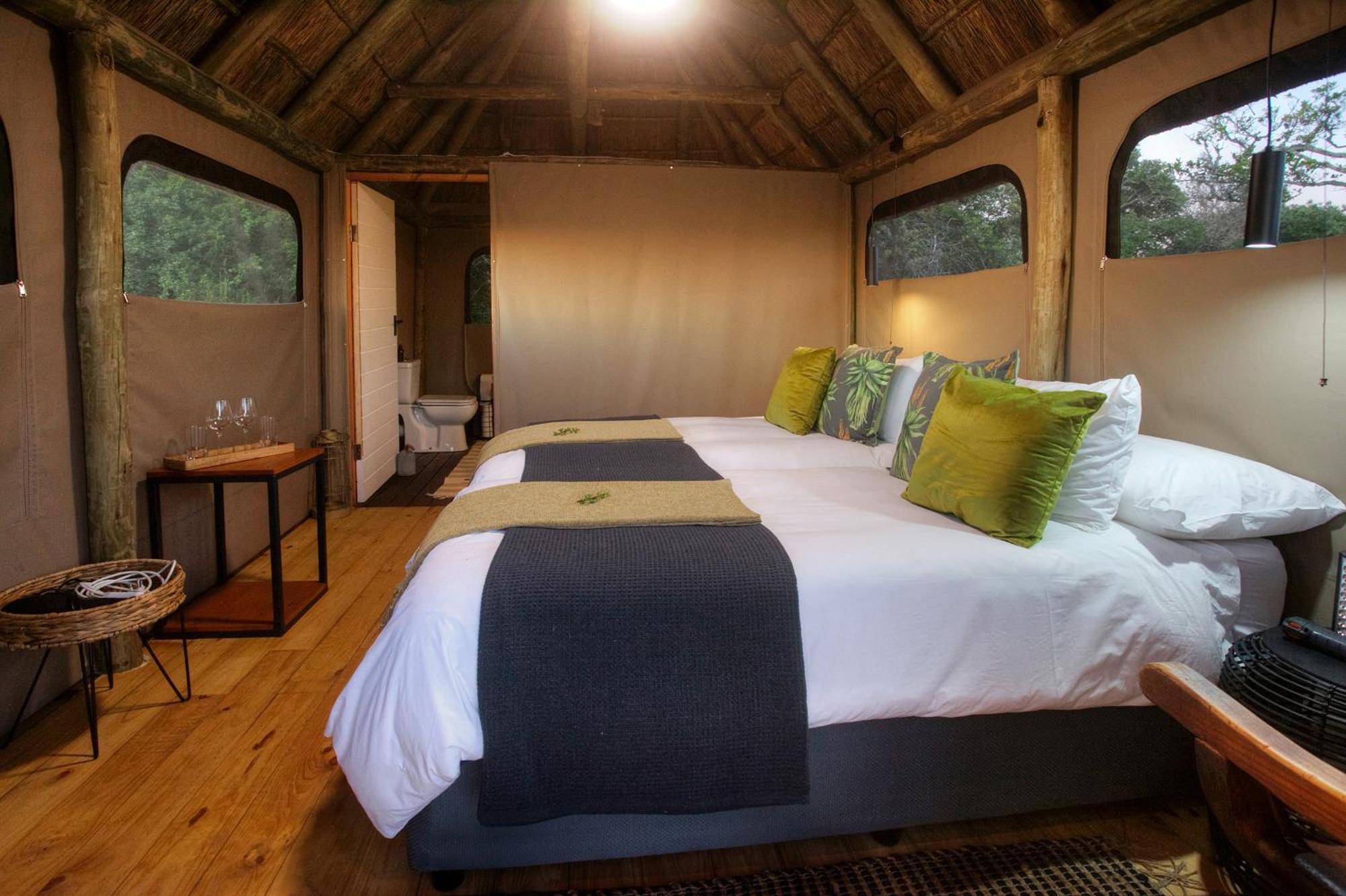 Addo Elephant Safari Lodge - Bellevue Forest Reserve Paterson Buitenkant foto