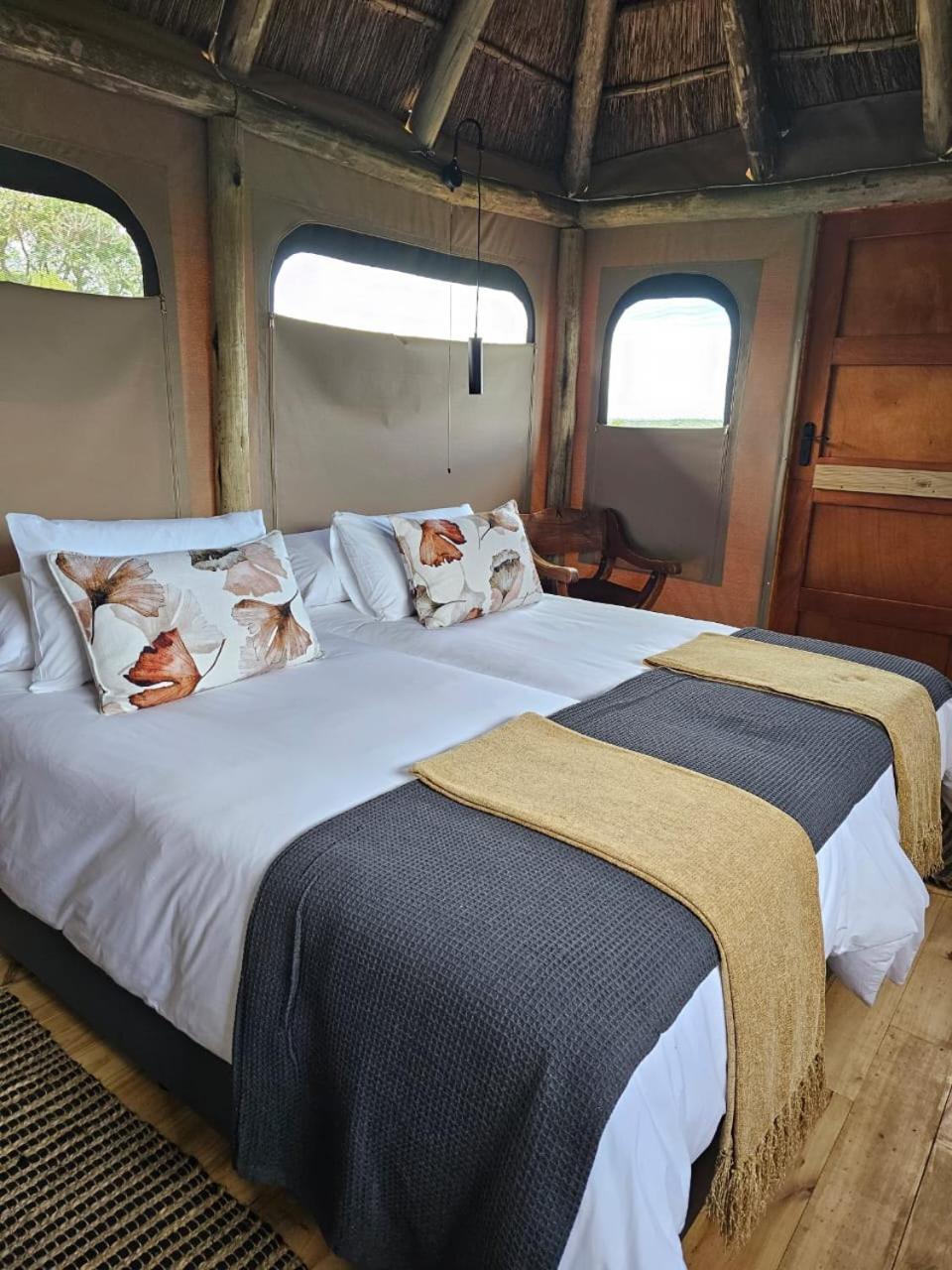 Addo Elephant Safari Lodge - Bellevue Forest Reserve Paterson Buitenkant foto