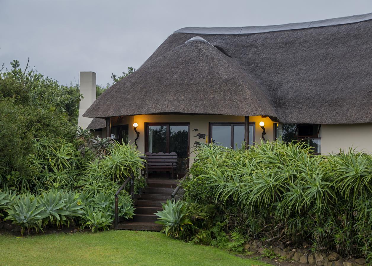 Addo Elephant Safari Lodge - Bellevue Forest Reserve Paterson Buitenkant foto