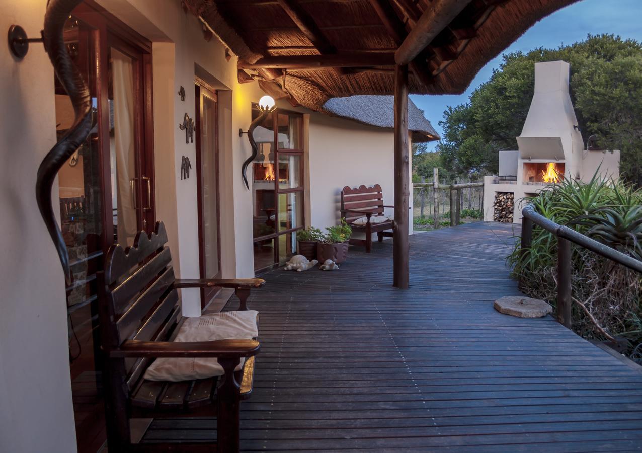 Addo Elephant Safari Lodge - Bellevue Forest Reserve Paterson Buitenkant foto