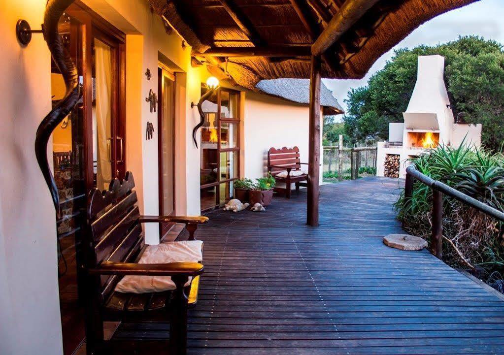 Addo Elephant Safari Lodge - Bellevue Forest Reserve Paterson Buitenkant foto