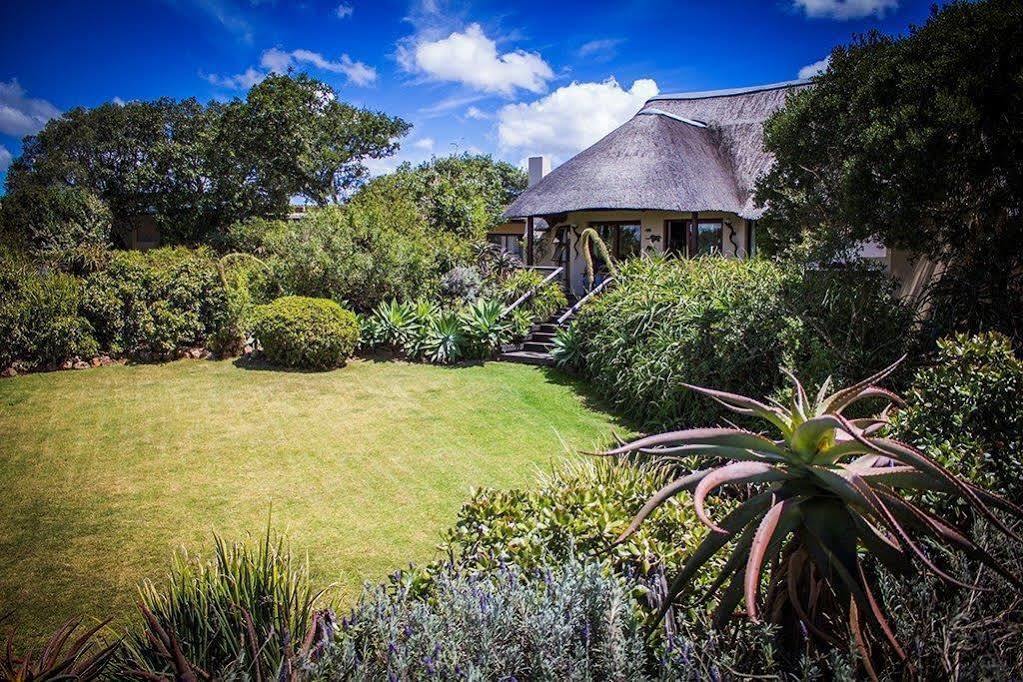 Addo Elephant Safari Lodge - Bellevue Forest Reserve Paterson Buitenkant foto