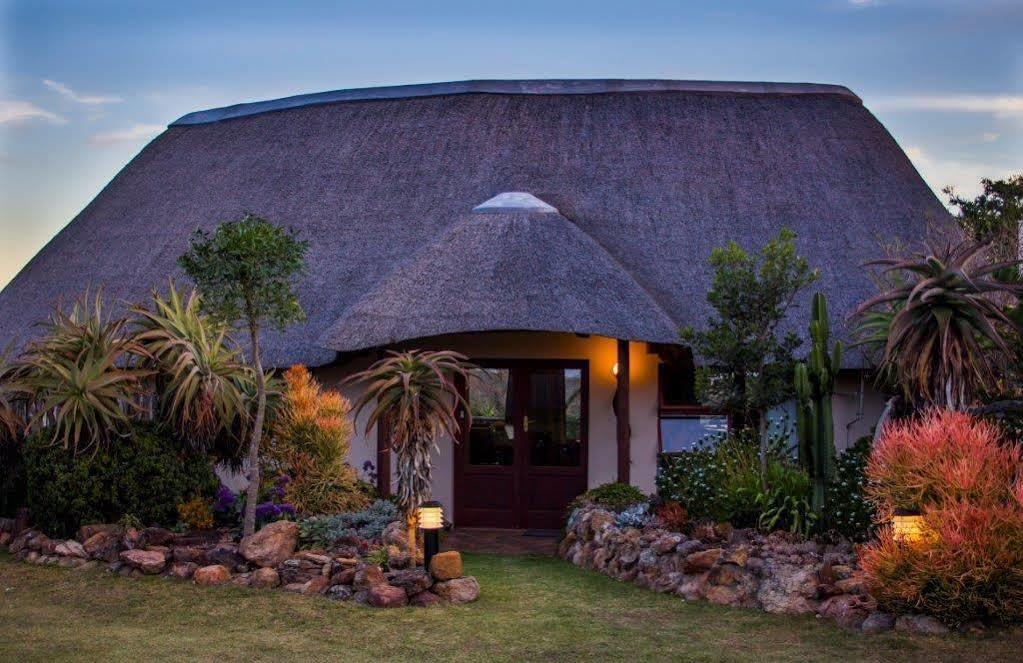 Addo Elephant Safari Lodge - Bellevue Forest Reserve Paterson Buitenkant foto