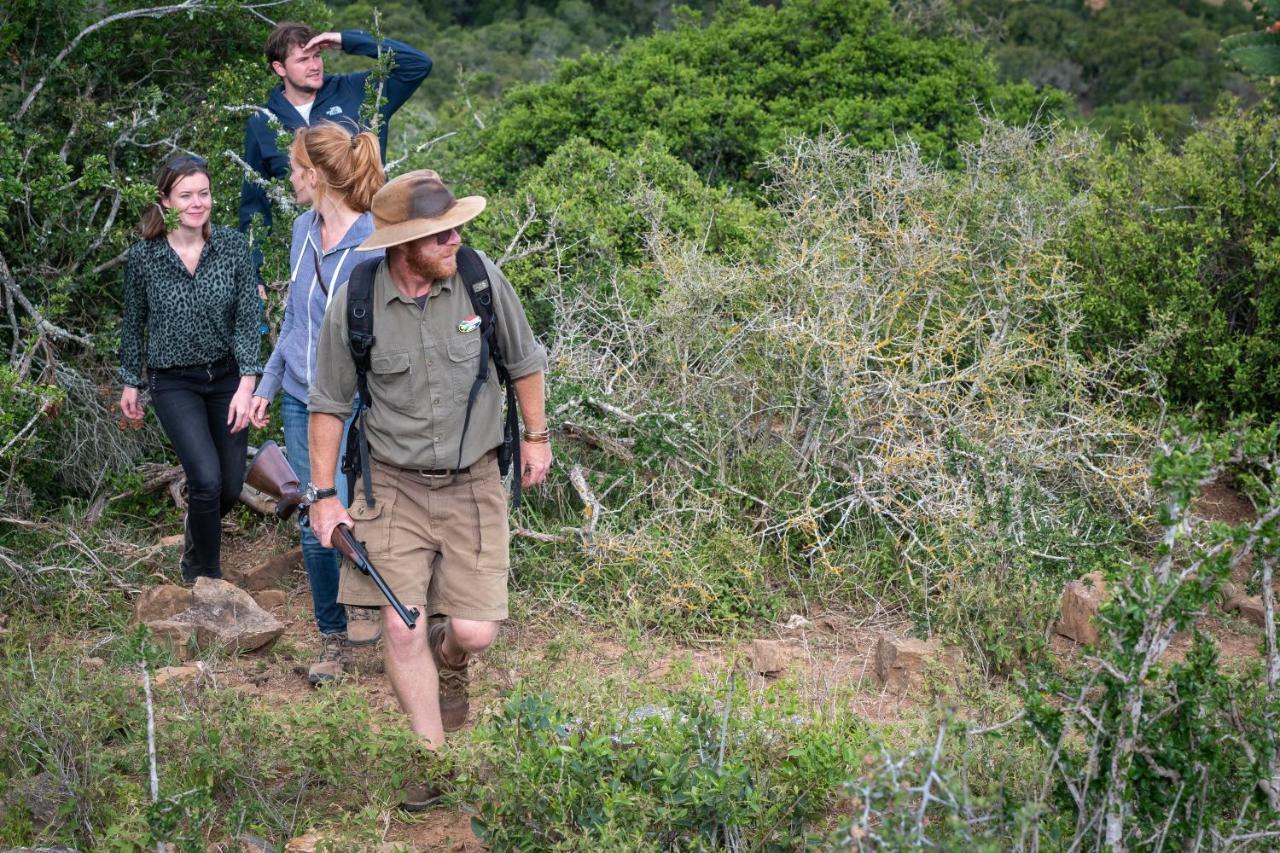 Addo Elephant Safari Lodge - Bellevue Forest Reserve Paterson Buitenkant foto