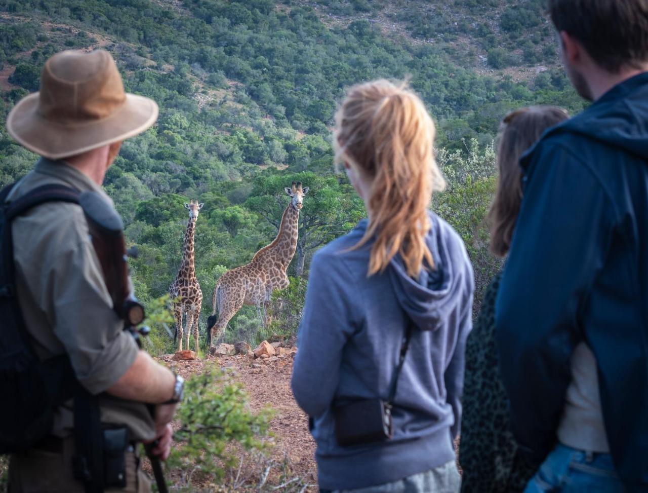 Addo Elephant Safari Lodge - Bellevue Forest Reserve Paterson Buitenkant foto