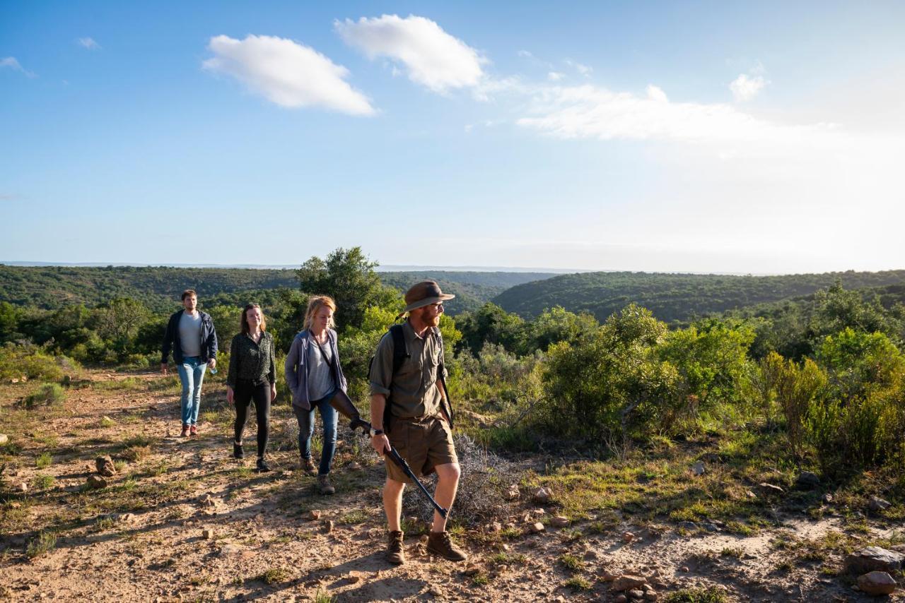 Addo Elephant Safari Lodge - Bellevue Forest Reserve Paterson Buitenkant foto