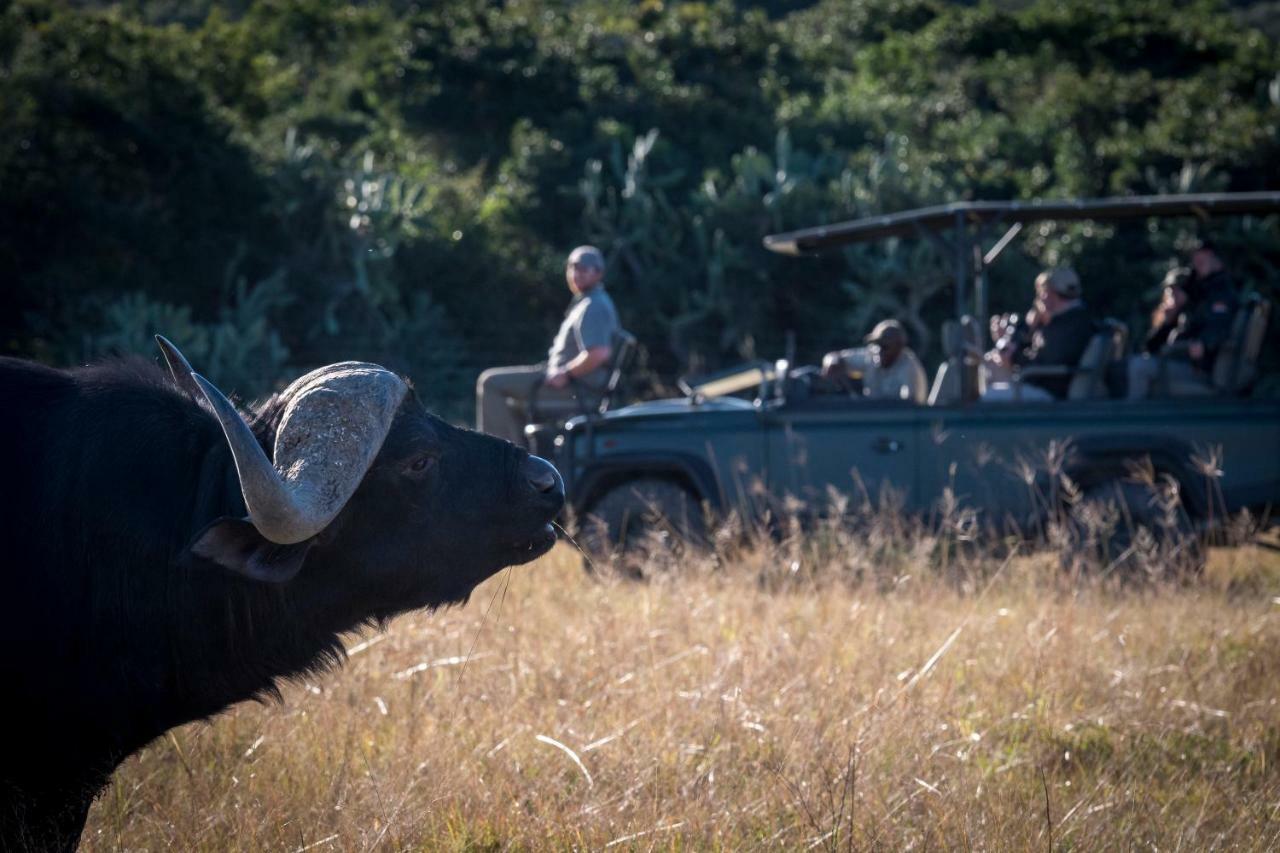 Addo Elephant Safari Lodge - Bellevue Forest Reserve Paterson Buitenkant foto