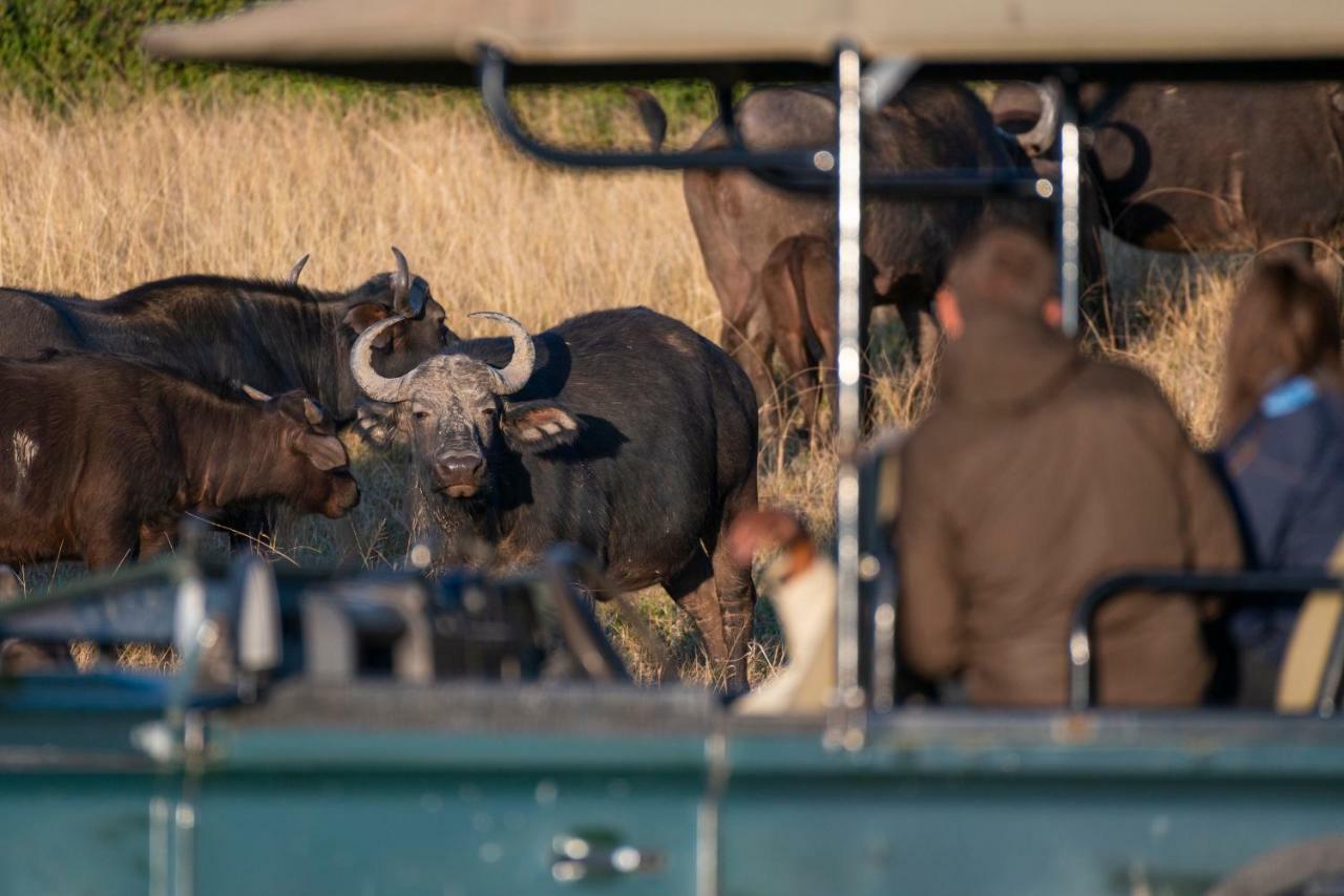 Addo Elephant Safari Lodge - Bellevue Forest Reserve Paterson Buitenkant foto
