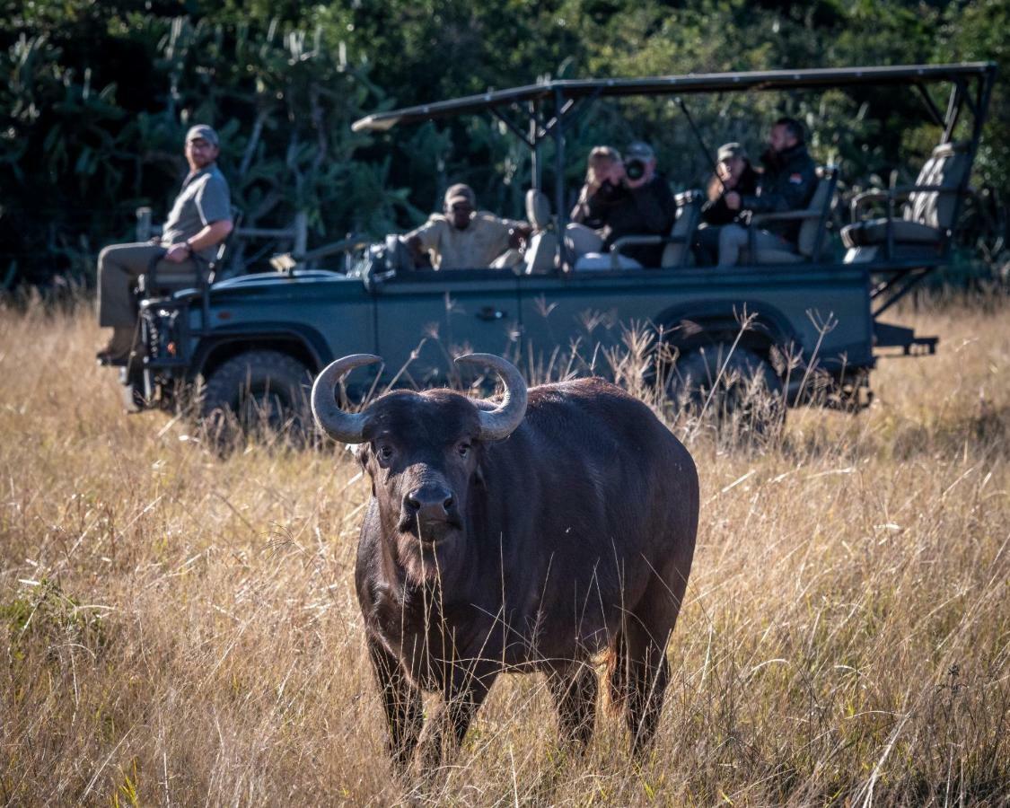 Addo Elephant Safari Lodge - Bellevue Forest Reserve Paterson Buitenkant foto